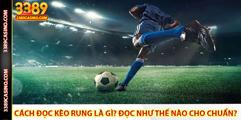 Cách đọc kèo rung là gì? Đọc như thế nào cho chuẩn?