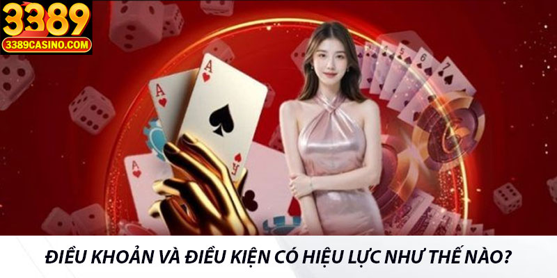 Điều khoản và điều kiện có hiệu lực như thế nào?