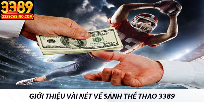Giới thiệu vài nét về sảnh thể thao 3389